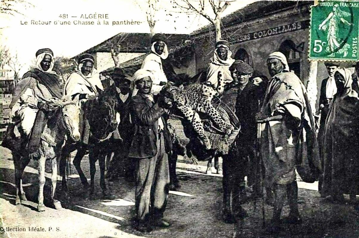 Oran- SDV- 7390.jpg